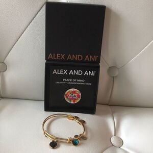 Alex AND ANI bracelet